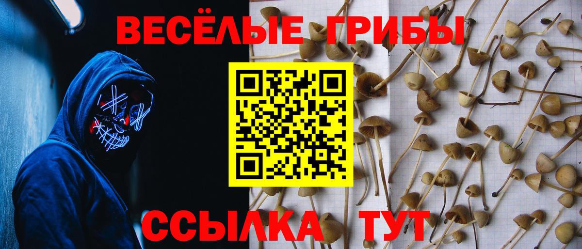 Псилоцибиновые грибы прущие грибы  Псилоцибиновые грибы Psilocybine cubensis  купить наркотики цена  Шелехов  Вход с VPN 