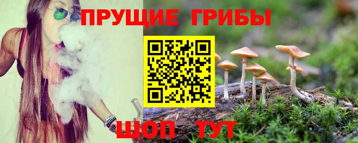 Галлюциногенные грибы MAGIC MUSHROOMS Шелехов